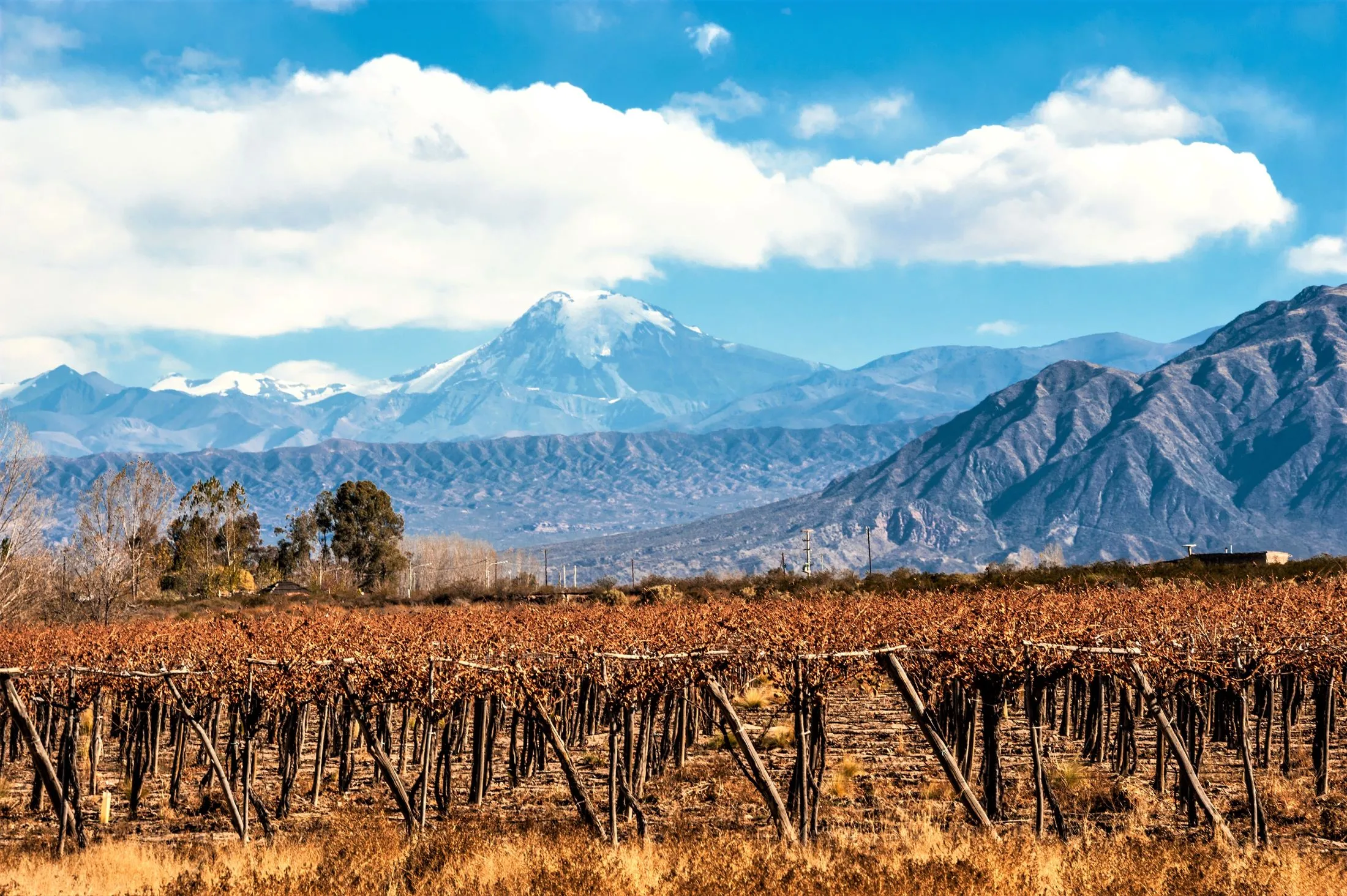 Mendoza Octubre 2026