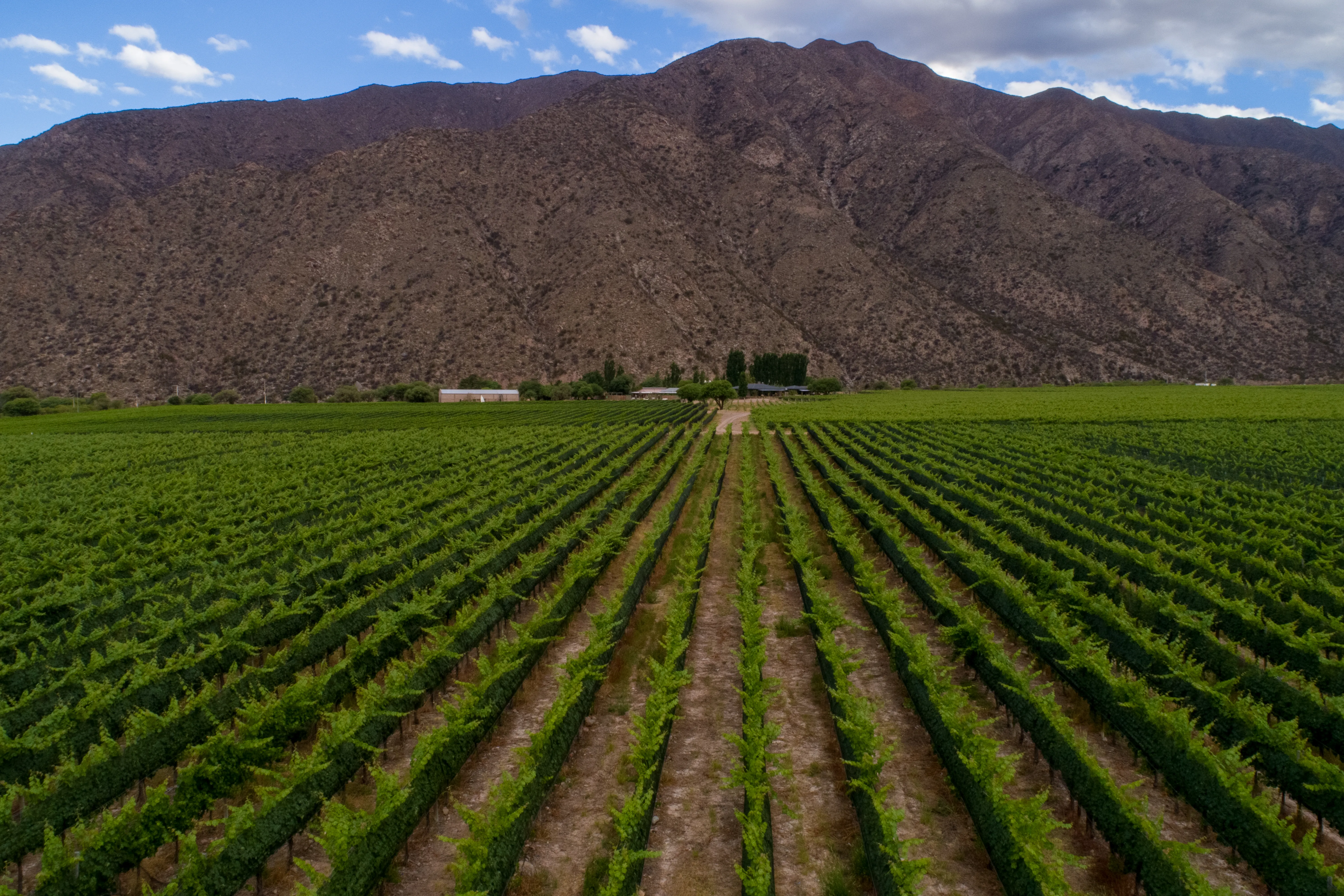 La Rioja experiencia
