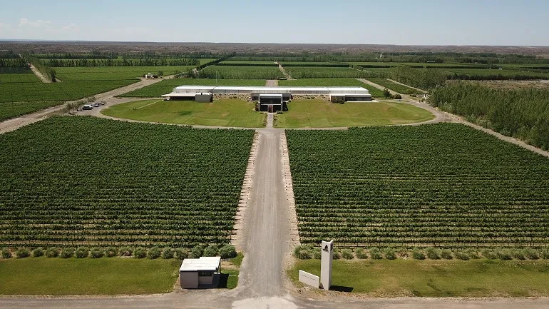 Patagonia vinos